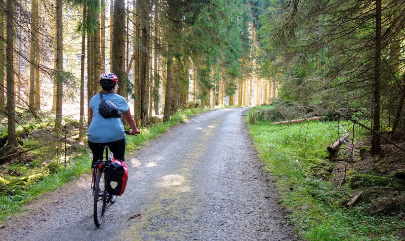 a lonely female cyclist in a Czech forest.